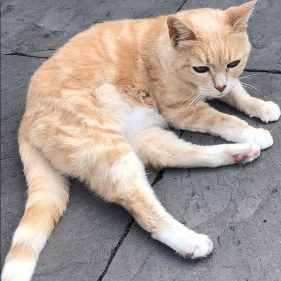 Meet your Posher, Jelena - Picture 1 of 1